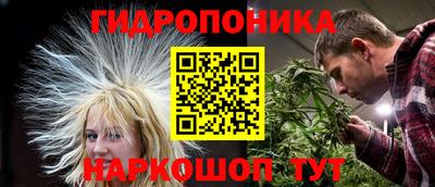 мяу мяу мука Шебекино