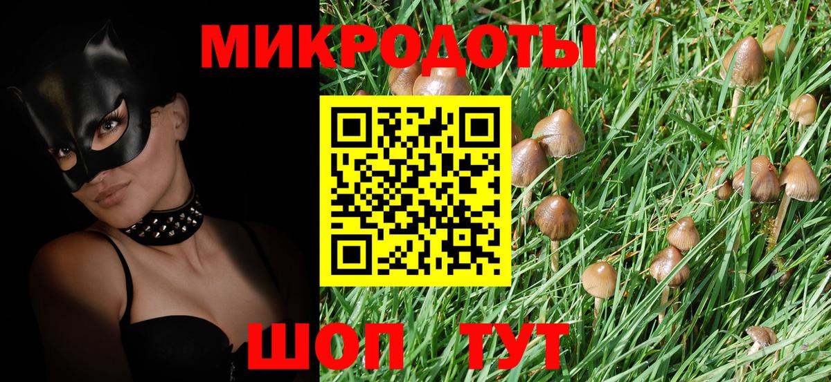 Галлюциногенные грибы GOLDEN TEACHER  Псилоцибиновые грибы Magic Shrooms  Вход с VPN  Алексеевка 
